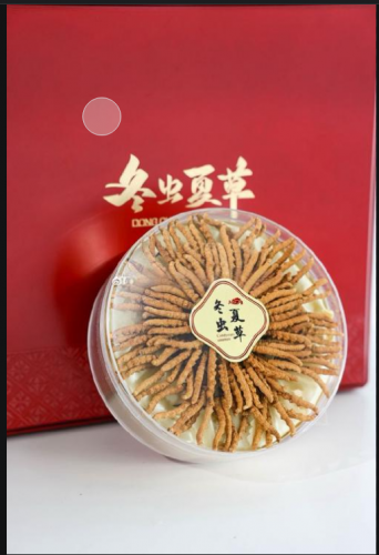 武漢回收冬蟲(chóng)夏草  